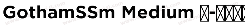 GothamSSm Medium 中字体转换